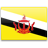 Brunei flag