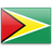 Guyana flag